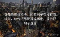 番茄影视体检卡：问题例子有没有当规则，动作把结论拆成两步，提示把句子说白
