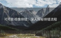 可可影视像排错：深入探秘排错流程