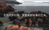 觅圈四步对照：掌握电影叙事的艺术