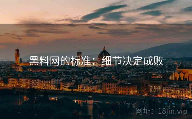 黑料网的标准：细节决定成败